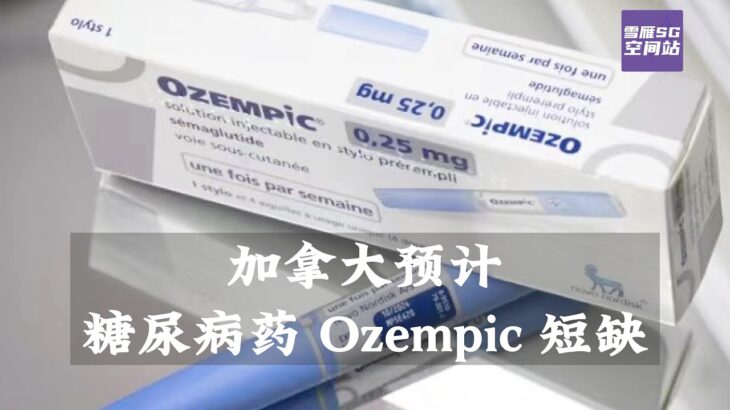 加拿大预计糖尿病药 Ozempic 短缺/BC FERRIE渡轮维修停航【SG新闻空间站】202308018