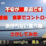 糖尿病　やっつけるからな！　【Round,21】　6月08日　血糖値データと食事メニュー