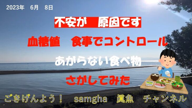 糖尿病　やっつけるからな！　【Round,21】　6月08日　血糖値データと食事メニュー