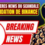 🚨Scandale token BNB / 3 milliards de dollar Bitcoin / Faillite NFT / Timbre La Poste / SEPA Binance🚨