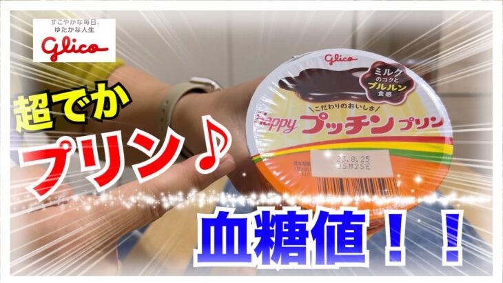 【糖尿病 Type1 食事】超でかプッチンプリン知ってる？糖尿病が食べて血糖値検証してみた！！気をつけないといけないカーボカウント落とし穴！