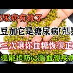 糖尿病有救了，綠豆加它是糖尿病「剋星」，讓你血糖快速恢復正常，還能預防心腦血管疾病【可嘉媽媽】