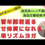 血管年齢若返る血液良くして不調改善 高血圧糖尿病予防 運動不足ストレス解消 ほぐれ痩せ体質になる簡単リズムヨガ