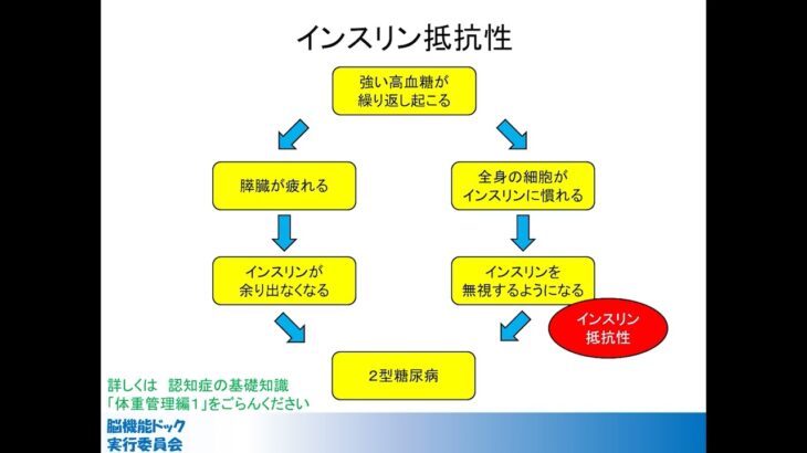 認知症の基礎知識シリーズ　糖尿病の治療