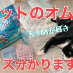 【糖尿病の老猫】オムツ（マナーウェア）のサイズ選びは難しい。本当は購入前に試着したい。