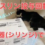 【糖尿病の老猫】インスリンの注射器の残り本数で、投与の回数を管理しています。