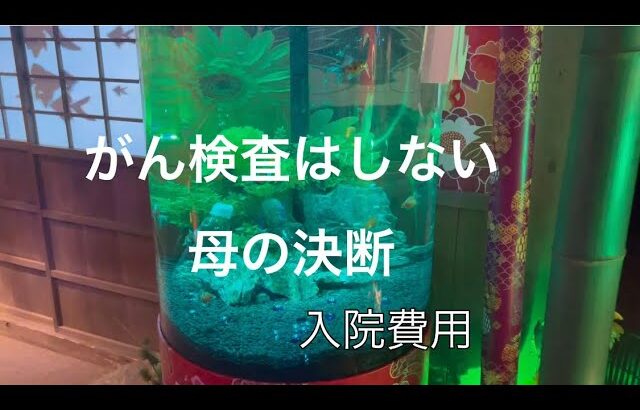 【糖尿病】【入院費用】がん検査はしないと決断した母。