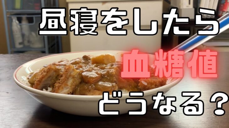 昼寝をしたらカツカレーの血糖値はどうなる？