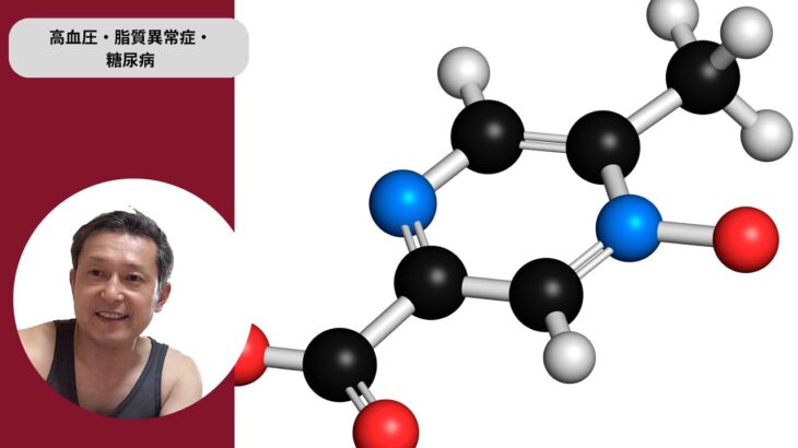 【高血圧・脂質異常症・糖尿病】本日はよく聞くやばそうな疾患について健康の関連から予防しようというものです。