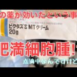 【糖尿病の老猫】右目横にあった出来物が消滅⁉︎薬が効いたという事は悪性腫瘍だった可能性が高い(かも)。