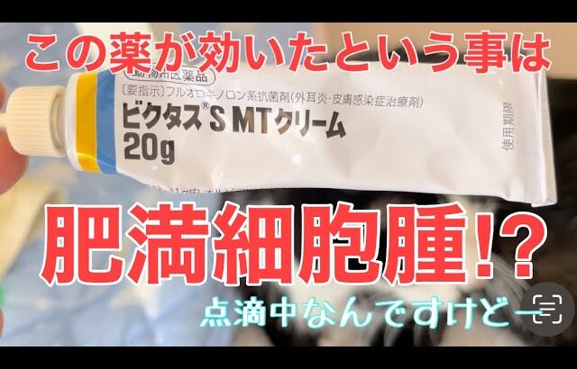 【糖尿病の老猫】右目横にあった出来物が消滅⁉︎薬が効いたという事は悪性腫瘍だった可能性が高い(かも)。