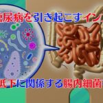 プレスリリース解説 vol.19「2型糖尿病を引き起こすインスリンの作用低下に関係する腸内細菌を特定！」