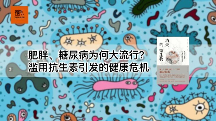 《消失的微生物》肥胖、糖尿病为何大流行？滥用抗生素引发的健康危机【youtube字幕】| 好书精读推荐，见识决定格局，读书改变命运