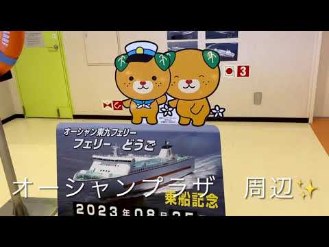 1型糖尿病の1人船旅📹