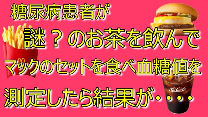 ポメラニアンきらチャンネル184　Ⅱ型糖尿病患者が謎のお茶を飲んでマックエグチセットを食べ血糖値をはかったら、結果が・・・