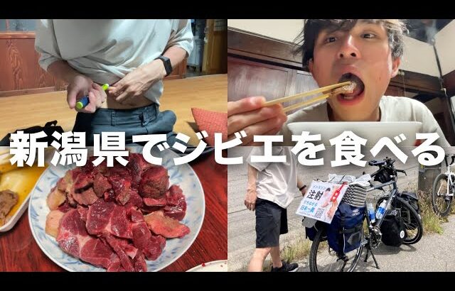 【初体験】26歳糖尿病、熊肉を食べたら味覚がぶっ飛んだ。【旅Vlog】#2