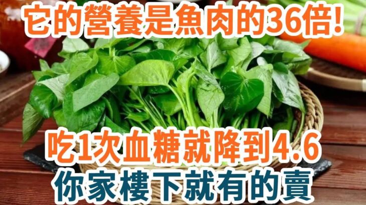 糖尿病人有福了！它的營養是魚肉的36倍！糖尿病老人只吃1次，血糖就再沒超過4.6！你家樓下就有的賣【養生1+1】