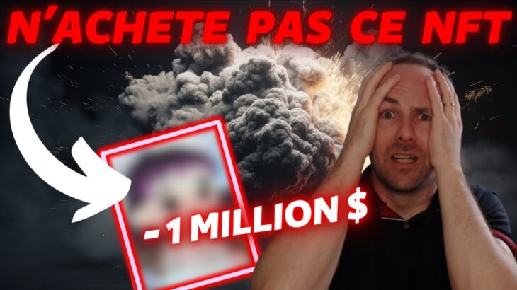 CE PROJET NFT POLÉMIQUE SE FAIT VOLER 1 MILLION $ 🤯 – ACTU