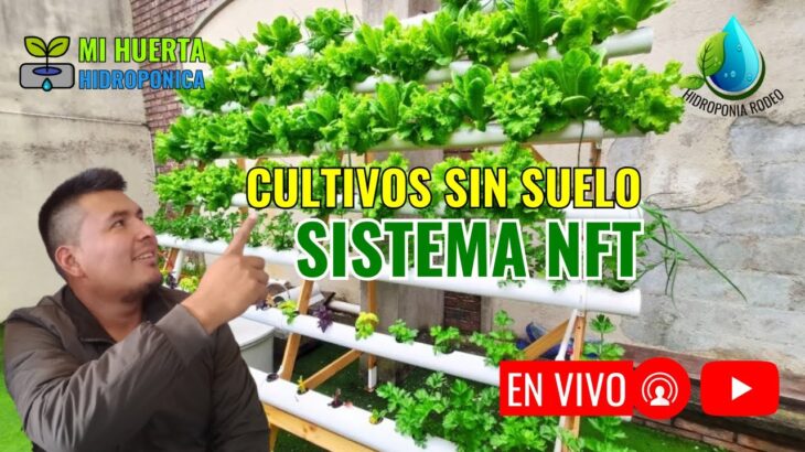 Cultivos sin suelo Sistema NFT