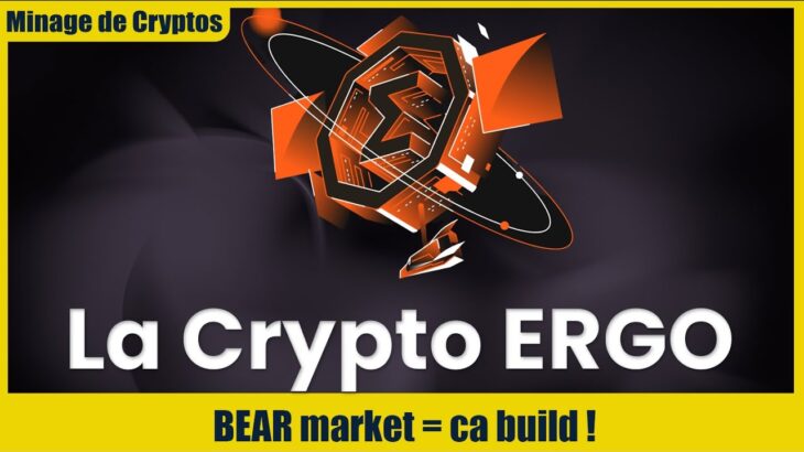 ERGO = BEAR = BUILD ! L’écosystème ERGO : DEFI, protocoles financiers, NFT, Ergone marketing, … !