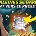 LES BALEINES SE BARRENT VERS CE PROJET ! + LES NFT VALENT RIEN – ACTU