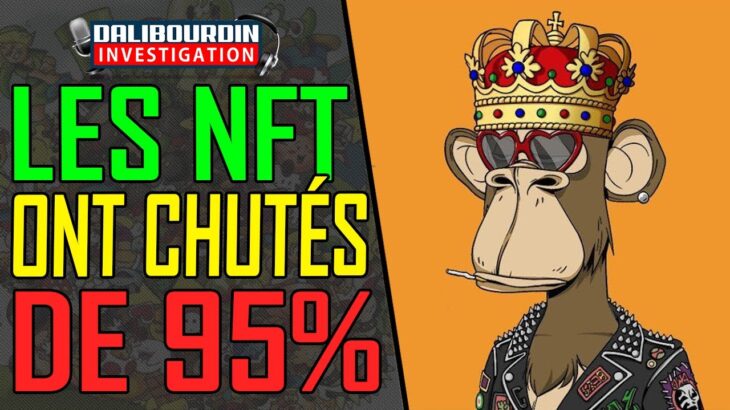 LES NFT ONT PERDUE 95% DE LEURS VALEURS…