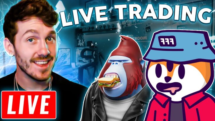 🔴LIVE-TRADING SOLANA NFTs! TOP NFTs TO BUY NOW! THE BULL MARKET IS BACK! DEGODS BAYC| Jerzy NFT