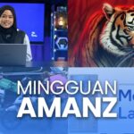 Mingguan Amanz – Grab Ambil Alih FoodPanda, 95% NFT Kini Tiada Nilai, Intel Meteor Lake Kini Rasmi