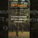 Какая секретная суперсила есть у коллекционеров NFT?