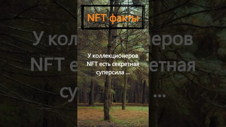 Какая секретная суперсила есть у коллекционеров NFT?