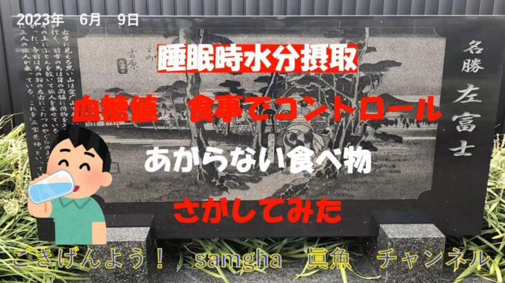 糖尿病　やっつけるからな！　【Round,22】　6月09日　血糖値データと食事メニュー