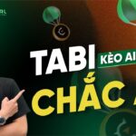 TABI NFT – KÈO AIRDROP CHẮC ĂN | HC CAPITAL