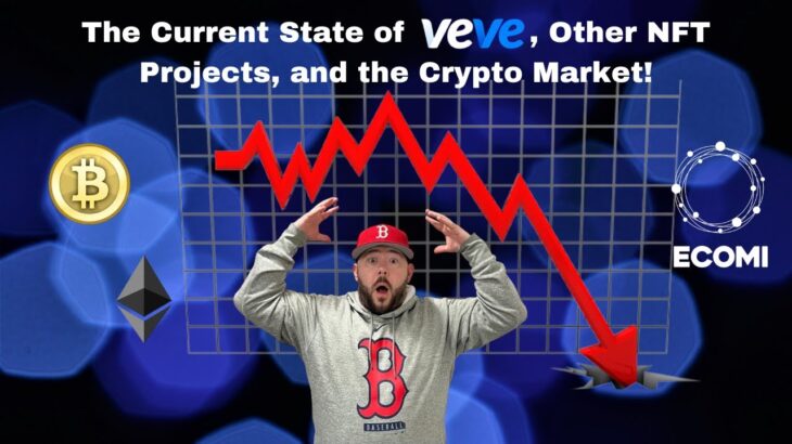 The Current State of VeVe, Other NFT Projects, and the Crypto Market.