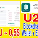 U2U CÓ BLOCKCHAIN RIÊNG + WALLET + NFT + GAMEFI + EXCHANGE THAM GIA NGAY NHIỀU AIRDROP | Kiếm Tiền