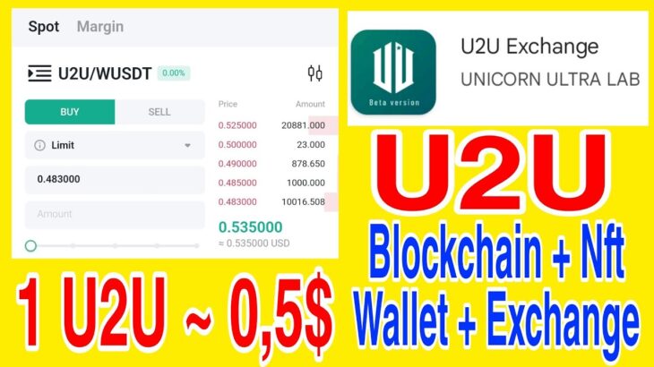 U2U CÓ BLOCKCHAIN RIÊNG + WALLET + NFT + GAMEFI + EXCHANGE THAM GIA NGAY NHIỀU AIRDROP | Kiếm Tiền