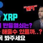 리플 XRP [긴급] NFT대형호재 등장, 하반기 이걸로 반등가능할까? 영상 꼭 봐주세요 #코인시황