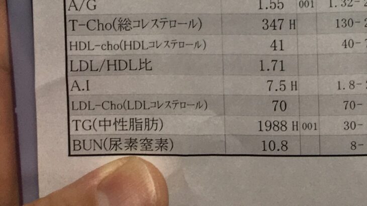 １２３糖尿病になる前に食べてた料理と糖尿病の後に食べてた料理ランダム再生　心筋梗塞 diet diabetes care 　#糖尿病 #心筋梗塞 #diabetes