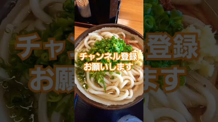 【讃岐うどん】【かけうどん】【俺は糖尿病だー】