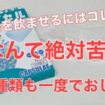 ９日目／４９日【糖尿病老猫の旅立ち】猫に薬を飲ませるにはカプセルが１番！