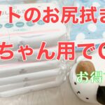 １０日目／４９日【糖尿病老猫の旅立ち】ペットのお尻拭きには、赤ちゃん用のお尻拭きが使えます！