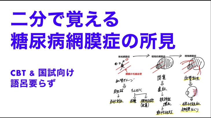 二分で覚える糖尿病網膜症の眼底所見