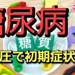 【糖尿病】私が糖尿病になったきっかけと！！糖尿病とは、一体どのような病気なのか？！