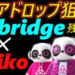 【エアドロップ狙い】zkbridge ✕ Taiko　～残り4日パンドラキングNFTをゲットせよ～