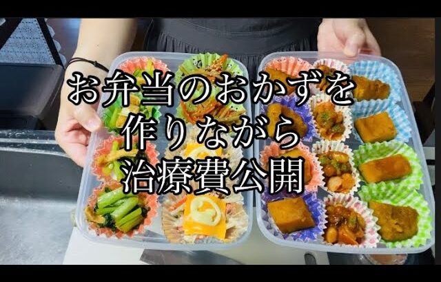 お弁当のおかず作り置き。久しぶりに1型糖尿病の治療費公開