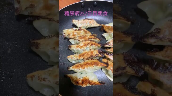 朝から餃子作って食べる糖尿病　王将の1.3倍くらい美味しくできた　心筋梗塞手術後257日目　朝ご飯　#糖尿クック #心筋梗塞 #糖尿病 #vlog #日常 #餃子