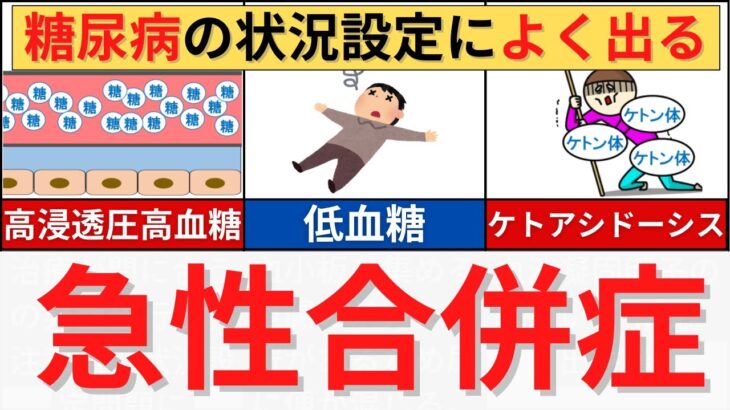 【15分で解説、55分で国試問題】糖尿病の急性合併症について解説