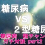 1型糖尿病VS2型糖尿病　ガチ対談！part2　注射しないと死ぬYouTuberの日常