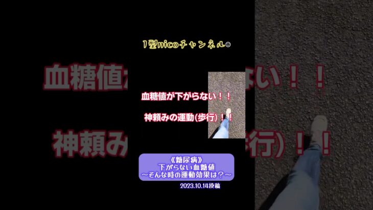 《糖尿病》下がらない血糖値〜そんな時の運動効果は？〜2023.10.14本編投稿 【1型nicoチャンネル】#糖尿病#1型糖尿病#type1diabete