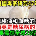 2023重大突破！糖尿病終於有救了！美國專家研究47年，最終發現豬油和血糖的关系！豬油竟是糖尿病的剋星？結果震惊全球28亿人，越早知道越好！【養生常談】