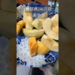 柿とりんご食べる糖尿病　心筋梗塞手術後246日目おやつ　#糖尿病 #心筋梗塞 #糖尿クック #vlog #日常